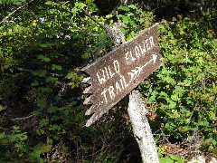 NCT; Minnesota; Lake Superior Hike; Wild Flower Trail sign