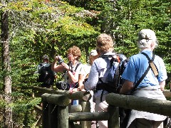 Lorana (Nettie) Jinkerson; Kathryn Brehm; Mary Coffin; Ruth Bennett McDougal Dorrough; NCT; Minnesota; Lake Superior Hike