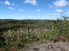 NCT; Minnesota; Lake Superior Hike