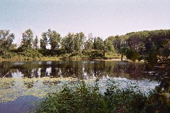 North Country Trail Conference Hiking NCT Minnesota