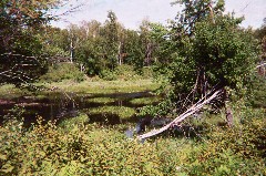 North Country Trail Conference Hiking NCT Minnesota