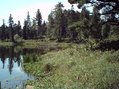 North Country Trail Conference Hiking NCT Minnesota