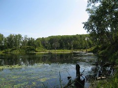 North Country Trail Conference Hiking NCT Minnesota