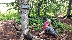 Ruth Bennet McDougal Dorrough McDougal Dorrough; NCT SHT; Superior Hiking Trail; Schroeder Minnesota