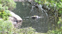 Hiking; NCT; New York; Adirondacks Rock Pond; Central Mountains