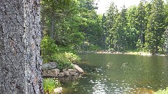 Hiking; NCT; New York; Adirondacks Rock Pond; Central Mountains