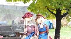 Scarecrows ; NCT; New York; Adirondacks; Eastern Adirondacks