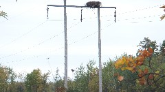 Eagles Nest; NCT; New York; Adirondacks; Eastern Adirondacks