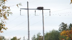 Eagles Nest; NCT; New York; Adirondacks; Eastern Adirondacks