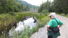 Ruth Bennett McDougal Dorrough; NCT; New York; Adirondacks; Furnace Creek