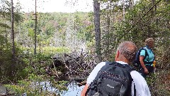 Dick Lightcap; Mary Coffin; Hiking; NCT; New York; Adirondacks; Ice Cave Trail Beaver Ponds