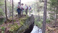 Dan Dorrough; Ruth Bennett McDougal Dorrough; Dick Lightcap; Tim; Hiking; NCT; New York; Adirondacks; Ice Cave Trail Beaver Ponds