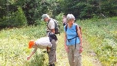 Sigi Schwinge; Tony Rodriguez; Elizabeth; Bea; Hiking; NCT; New York; Adirondacks; Ice Cave Trail Beaver Ponds