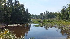 Jessup River Rd & POle Brook; NCT; New York; Adirondacks; Speculator