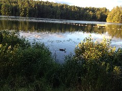 Minerva Campground ; MInerva Lake; NY