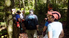 NCT/ADK; Stone Dam Pond Trail