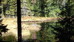 NCT/ADK; Stone Dam Pond Trail