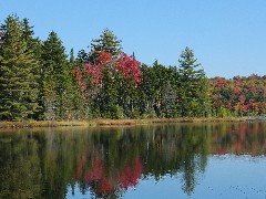 NCT; New York; Adirondacks; Stone Dam Pond Trail