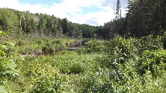 Hiking; NCT; New York; Adirondacks; Thirteenth Lake <-> North Creek