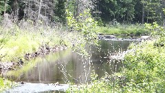 Hiking; NCT; New York; Adirondacks; Thirteenth Lake <-> North Creek