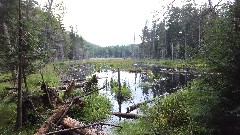 Hiking; NCT; New York; Adirondacks; Thirteenth Lake <-> North Creek