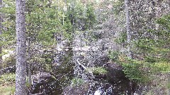 NCT; Adirondacks; Ice Cave Trail Beaver Ponds