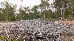 Hiking; NCT; New York; Adirondacks; West Central Wilderness Area