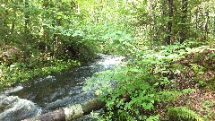 Round Pond; NCT; New York; Adirondacks