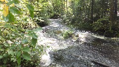 Round Pond; NCT; New York; Adirondacks