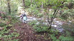 Mary Coffin; Ruth Bennett McDougal Dorrough; NCT; New York; Adirondacks