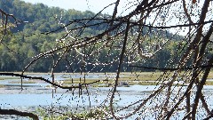 Round Pond; NCT; New York; Adirondacks