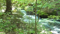 Puffer Pond Brook; NCT; New York; Adirondacks