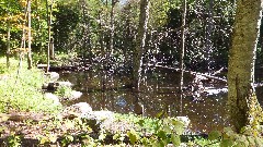 Puffer Pond Brook; NCT; New York; Adirondacks