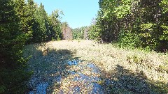 Hour Pond Brook; NCT; New York; Adirondacks