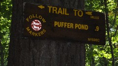 sign Tail to Puffer Pond; Hiking; NCT; New York; Adirondacks