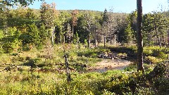 Carroll Brook; NCT; New York; Adirondacks