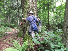 Dan Dorrough; NCT; New York; Adirondacks