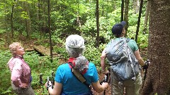 Mary Coffin; Ruth Bennett McDougal Dorrough; Mary; Hiking; NCT; New York; Adirondacks