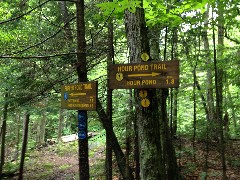 sign Puffer Pond Trail
sign Hour Pond Trail
Hiking; NCT; New York; Adirondacks