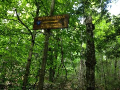 sign Puffer Pond Trail; Hiking; NCT; New York; Adirondacks