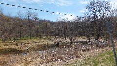 swamp; NCT; New York; Black River Feeder Canal Trail