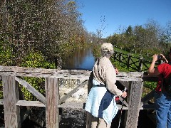 Ruth Bennett McDougal Dorrough; Hiking; NCT; New York; Black River Canal Trail