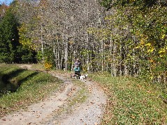 Hiking; NCT; New York; Black River Feeder Canal Trail; dog sled