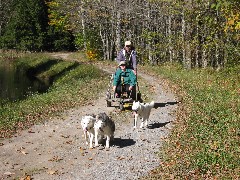 Hiking; NCT; New York; Black River Feeder Canal Trail; dog sled