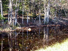 Hiking; NCT; New York; Black River Feeder Canal Trail