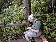 Ruth Bennett McDougal Dorrough; Hiking NCT NY Link Trail