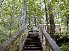 Ruth Bennett McDougal Dorrough; Hiking NCT NY Link Trail