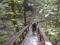 Ruth Bennett McDougal Dorrough; Hiking NCT NY Link Trail