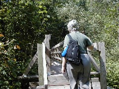 Ruth Bennett McDougal Dorrough; Hiking NCT NY Link Trail