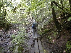 Ruth Bennett McDougal Dorrough; Hiking NCT NY Link Trail